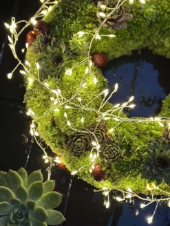 Lyskæde Cluster - Godkendt til ude