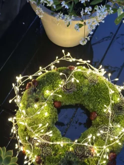 Lyskæde Cluster - Godkendt til ude