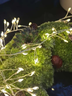 Lyskæde Cluster - Godkendt til ude