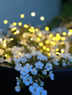 Lyskæde Marly m. Solar - 100 lys