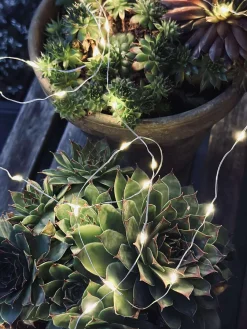 Lyskæde Marly m. Solar - 100 lys