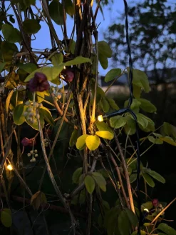 Lyskæde med 60 led lys - solceller - Ekstra kraftig