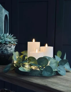 Lyskæde med eucalyptus