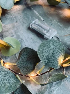 Lyskæde med eucalyptus