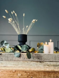 Lyskæde med eucalyptus