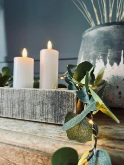 Lyskæde med eucalyptus