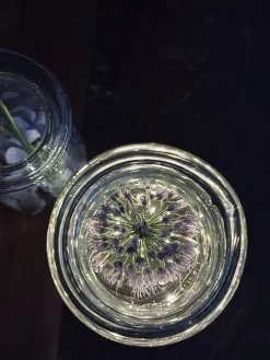 Lyskæde med timer – Waterproof