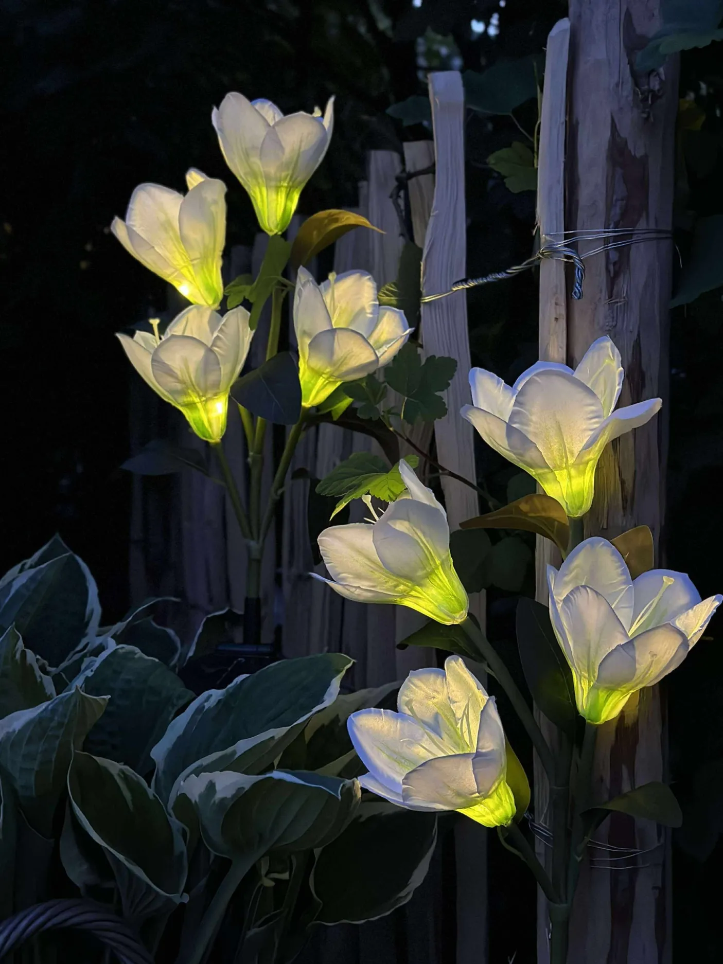 Magnolia med solceller - Hvid