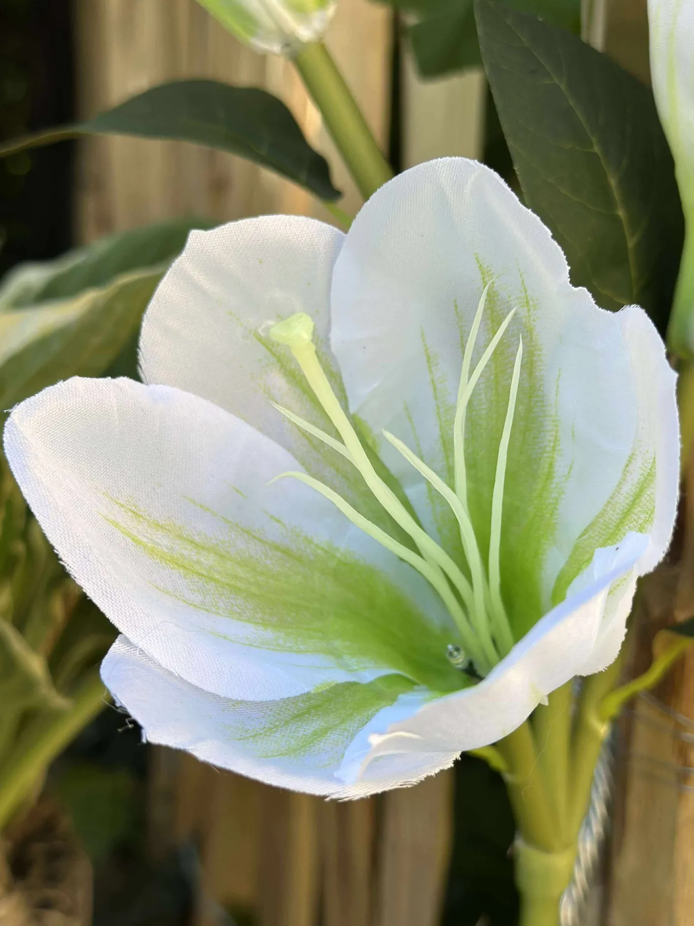 Magnolia med solceller - Hvid