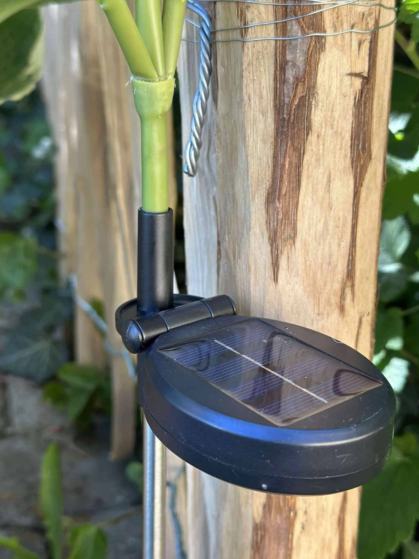 Magnolia med solceller - Hvid