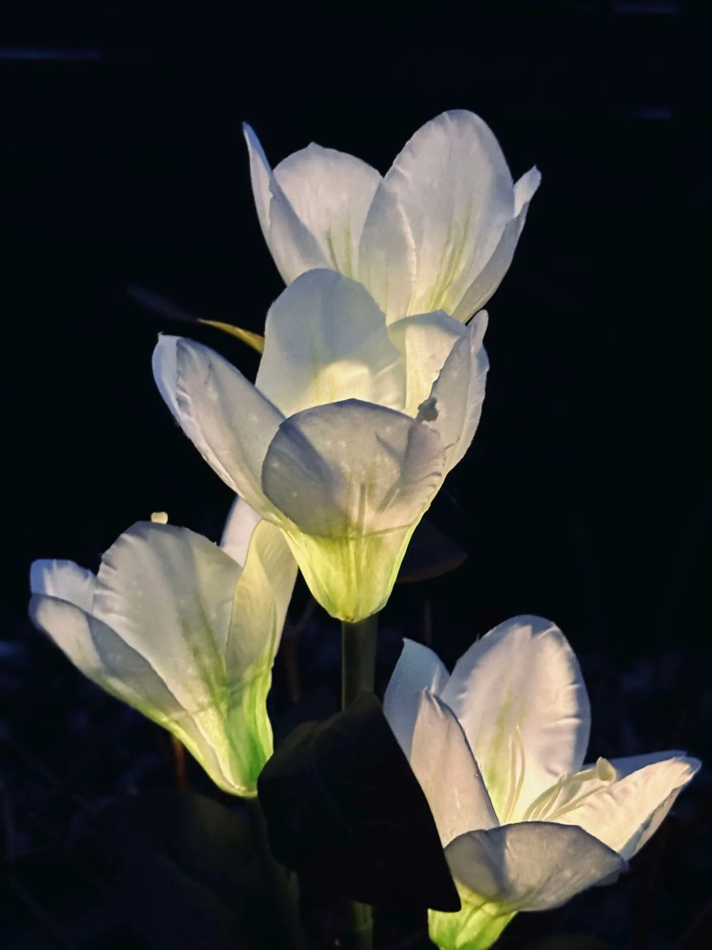 Magnolia med solceller - Hvid