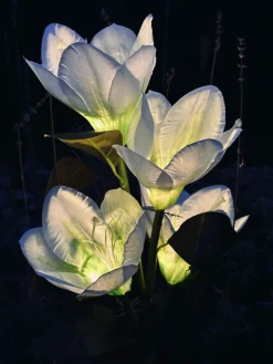 Magnolia med solceller - Hvid