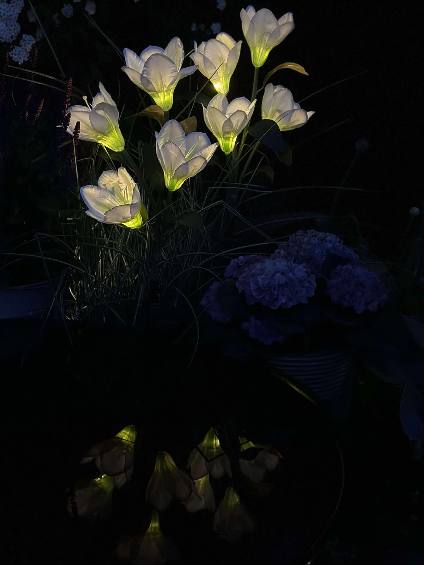 Magnolia med solceller - Hvid