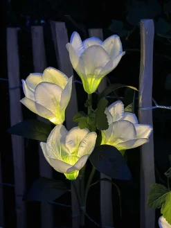 Magnolia med solceller - Hvid