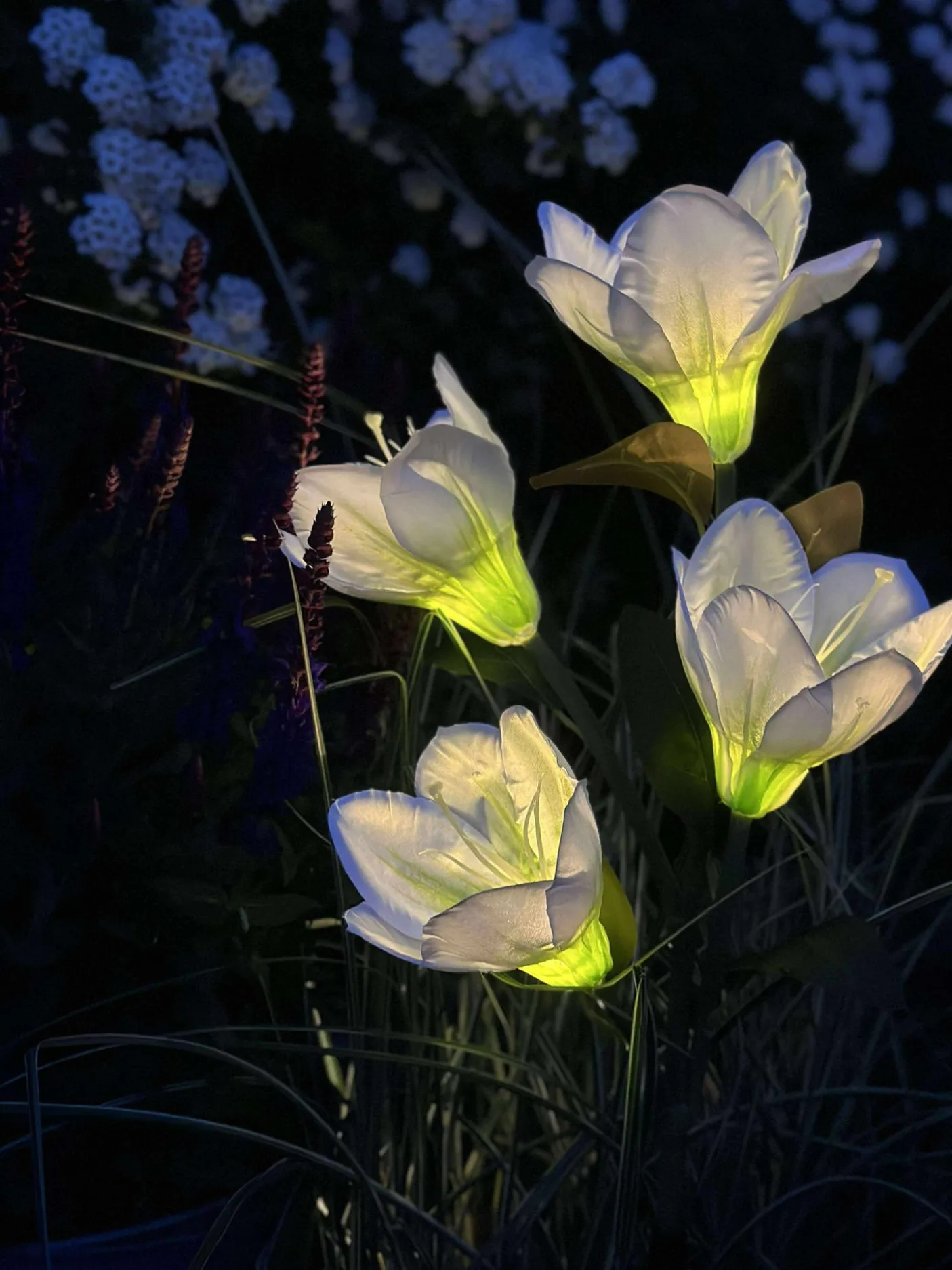 Magnolia med solceller - Hvid