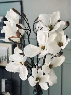 Magnoliagren - 92cm
