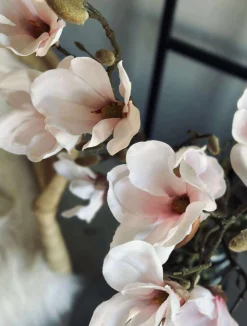 Magnoliagren - Pink 52cm