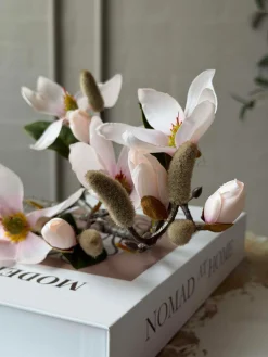 Magnoliagren - Pink 52cm