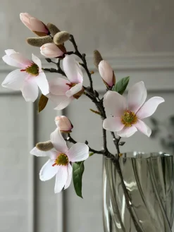 Magnoliagren - Pink 52cm