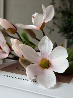 Magnoliagren - Pink 52cm