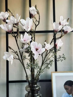 Magnoliagren pink - 92cm