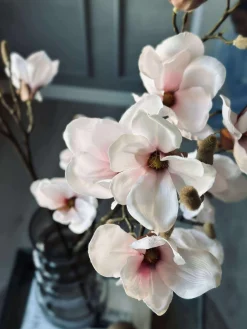 Magnoliagren pink - 92cm