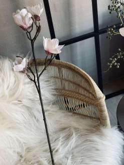 Magnoliagren pink - 92cm