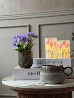 Mini hortensia i potte - flere farver