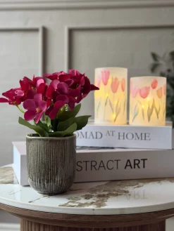 Mini hortensia i potte - flere farver