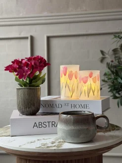 Mini hortensia i potte - flere farver