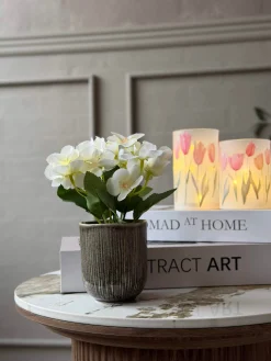 Mini hortensia i potte - flere farver