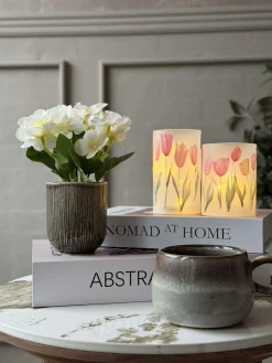 Mini hortensia i potte - flere farver