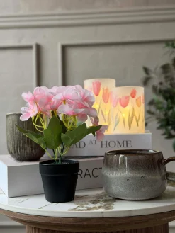 Mini hortensia i potte - flere farver