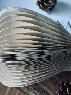 Mushroom No.2 - 1. stk