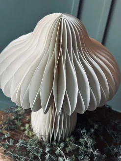 Mushroom No.1 - 1. stk