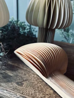 Mushroom No.2 - 1. stk Medium - COLOR MIX