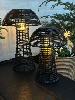 Mushroom Solar - Black Small