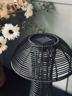 Mushroom Solar - Black Small