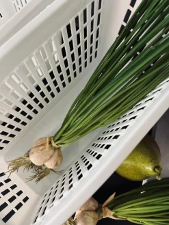 Opbevaring til køleskab