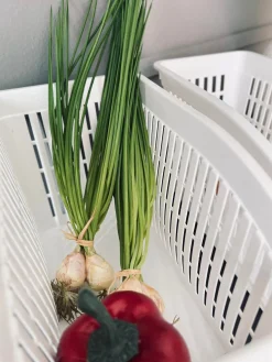 Opbevaring til køleskab - Stor