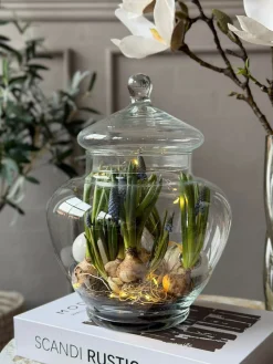 Opbevaringsglas med låg