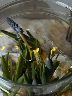 Opbevaringsglas med låg