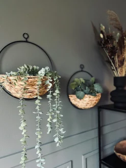 Ophæng med plantekurv - Stor