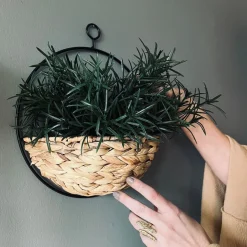 Ophæng med plantekurv - Stor