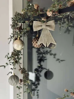 Ophæng med sugekopper