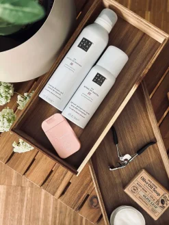 Organizer Akacietræ