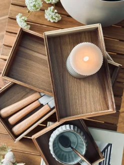 Organizer Akacietræ