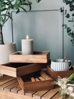 Organizer Akacietræ