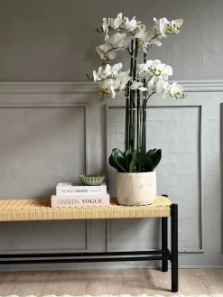 Orkidé i Potte 105 cm - Hvid