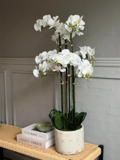 Orkidé i Potte 105 cm - Hvid